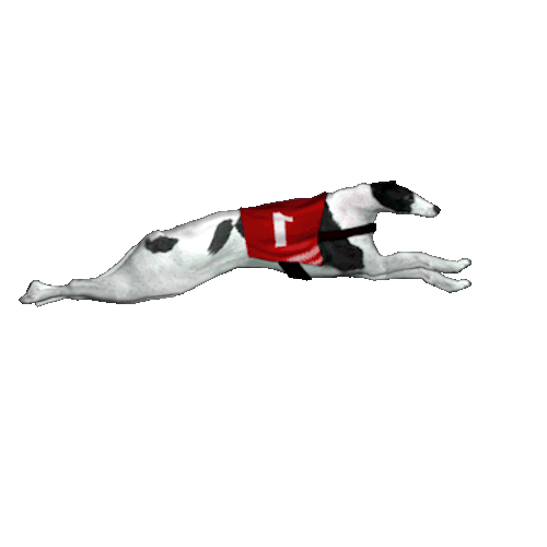Greyhound